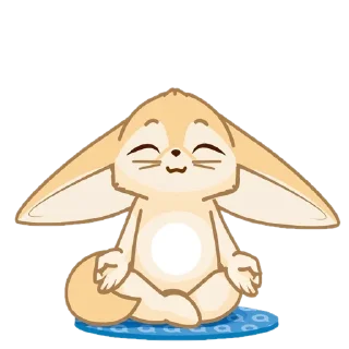 🦊