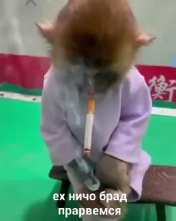 🚬