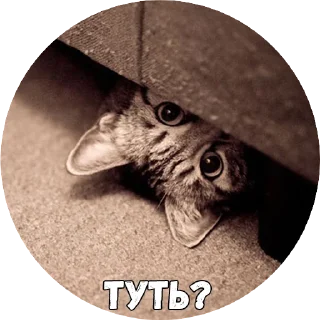 🙈