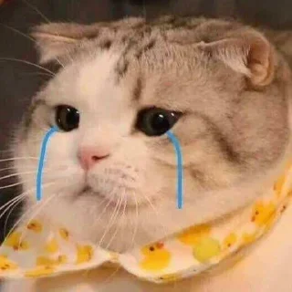😢
