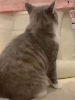 😡