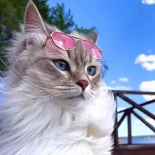 💅
