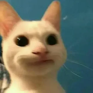 😶