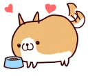 🐶