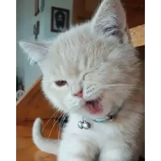 😉
