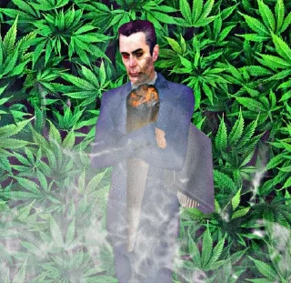 🌿