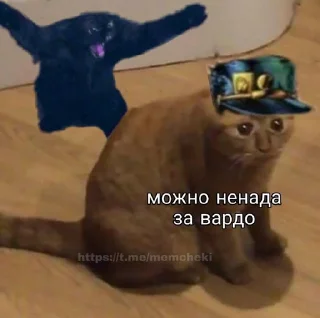 😼