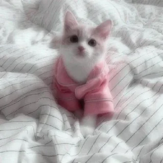 🥰