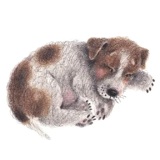 🐕