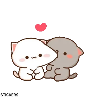 😽