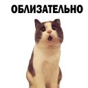 😃