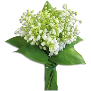 💐