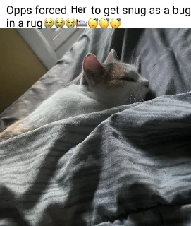 🛌