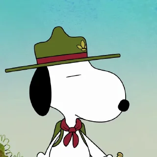 🍀