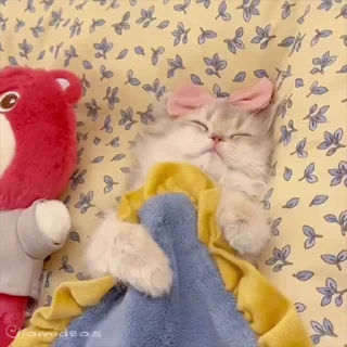 🥰