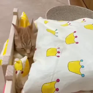 🧶