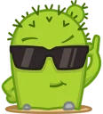 😎
