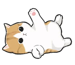 🐱
