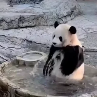 🏊