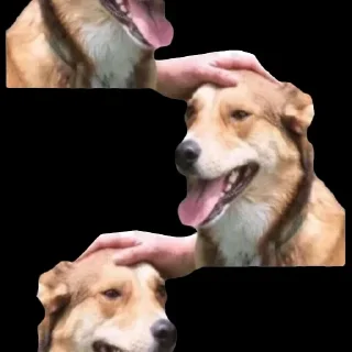 ⬛️