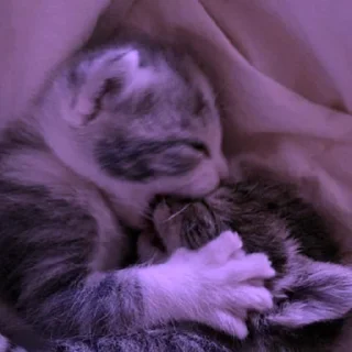 💜
