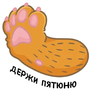🙏