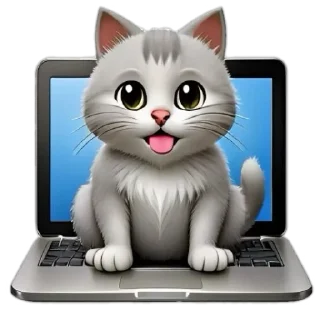 💻