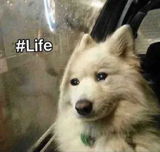 😔