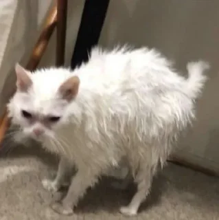 🤢