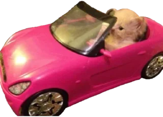 🚗