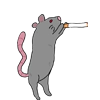 R4TSSSS