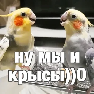 😬