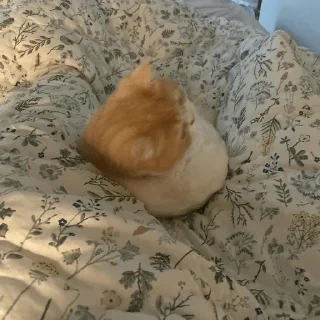 😕