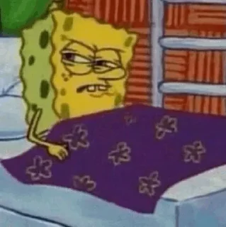 🧽