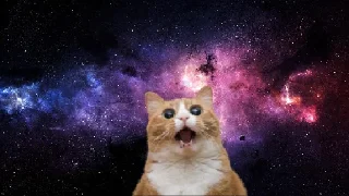 😺