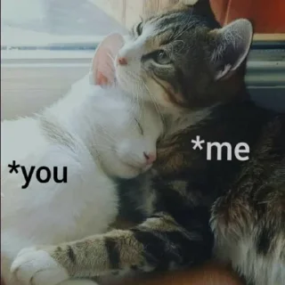 🥰
