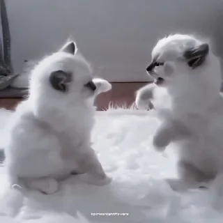 🍙