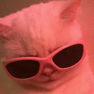 😎