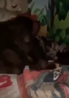 😶