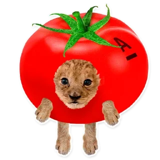 🍅