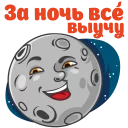 🌚