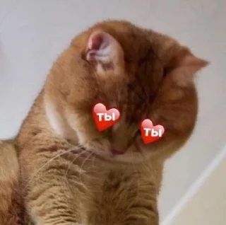 😍