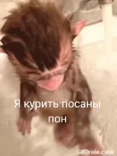 💫