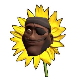 🌻