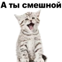 😂