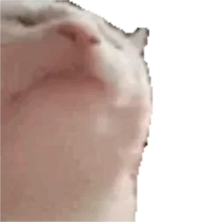 🎶
