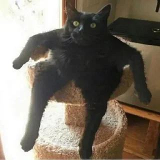 🪑