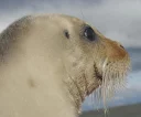 😱