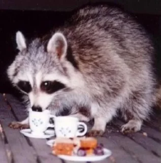 ☕️