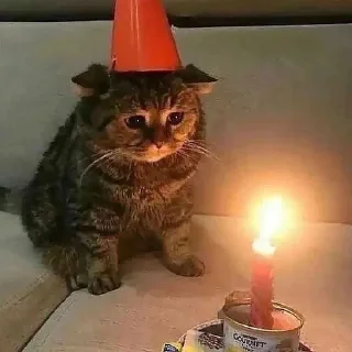 🥳